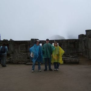 Meet your Posher, Lynn